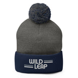 Pom-Pom Beanie  Pom-Pom Beanie