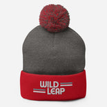 Pom-Pom Beanie  Pom-Pom Beanie