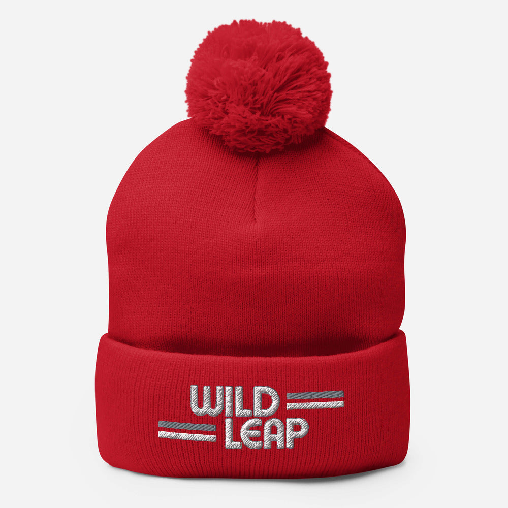 Pom-Pom Beanie  Pom-Pom Beanie