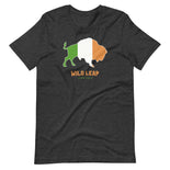 St Patrick's Day - Irish Flag T-Shirt St Patrick's Day - Irish Flag T-Shirt