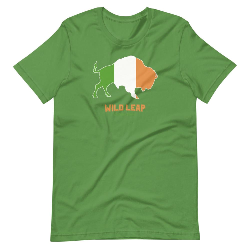 St Patrick's Day - Irish Flag T-Shirt St Patrick's Day - Irish Flag T-Shirt