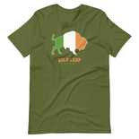 St Patrick's Day - Irish Flag T-Shirt St Patrick's Day - Irish Flag T-Shirt