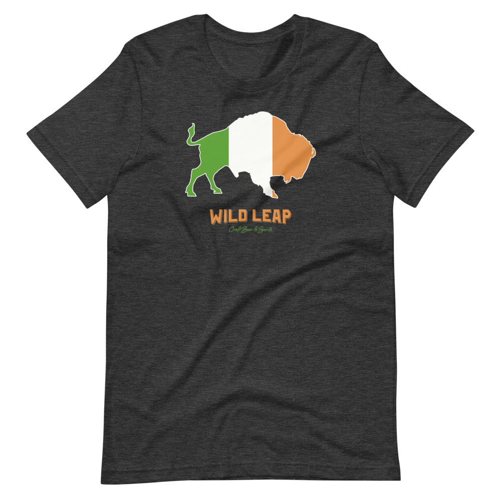 St Patrick's Day - Irish Flag T-Shirt